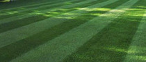 Maumee Ohio Lawn Services from Toledo Lawns