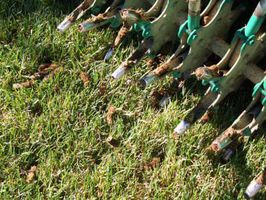 How to Aerate Your Toledo Yard