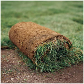 Our Sod Installation Services