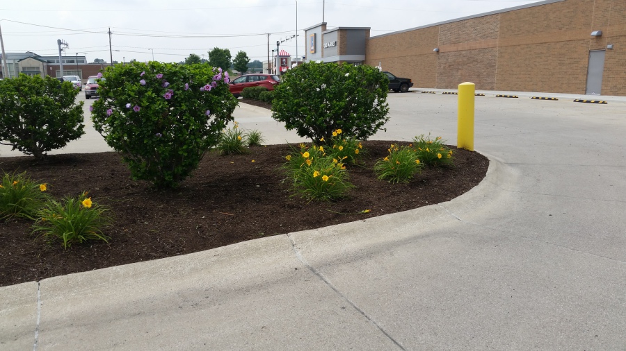 Toledo Commercial Lawn, Landscape, Snow Plowing, Commercial Property